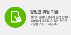 정밀한 휘팅 기술